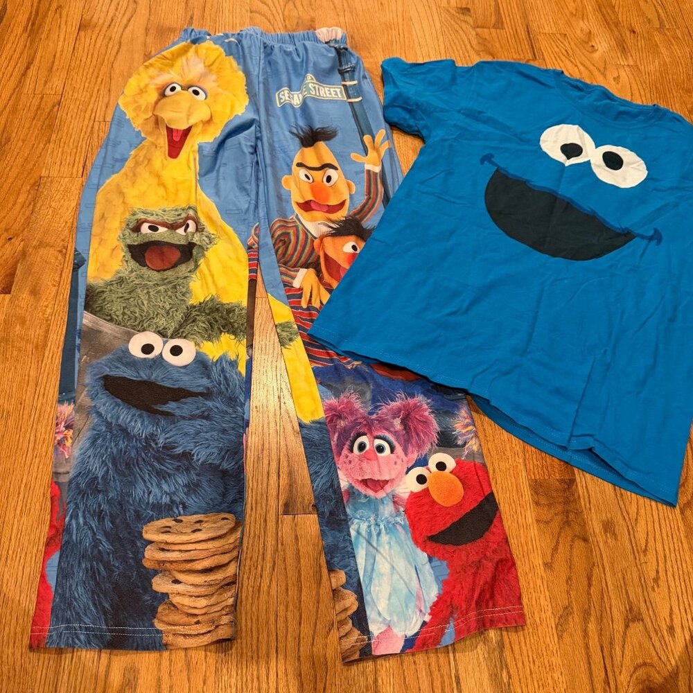 BRIEF INSANITY WOMENS COOKIE MONSTER SESAME STREET BIG BIRD PAJAMAS SMALL